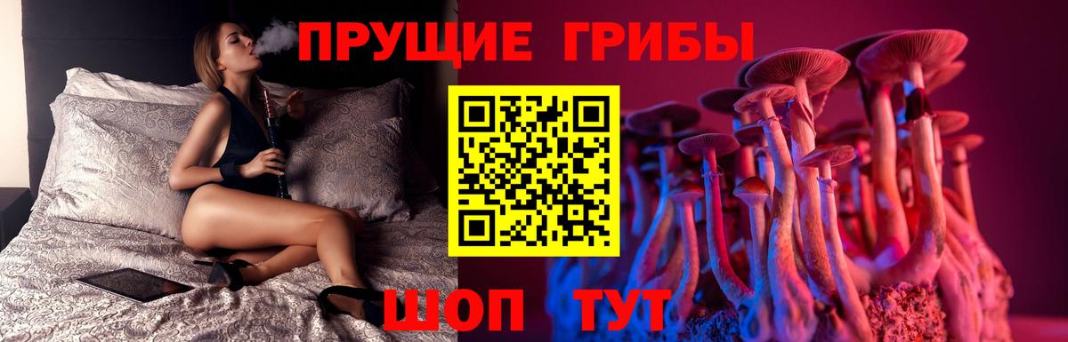 Псилоцибиновые грибы Magic Shrooms Краснокаменск