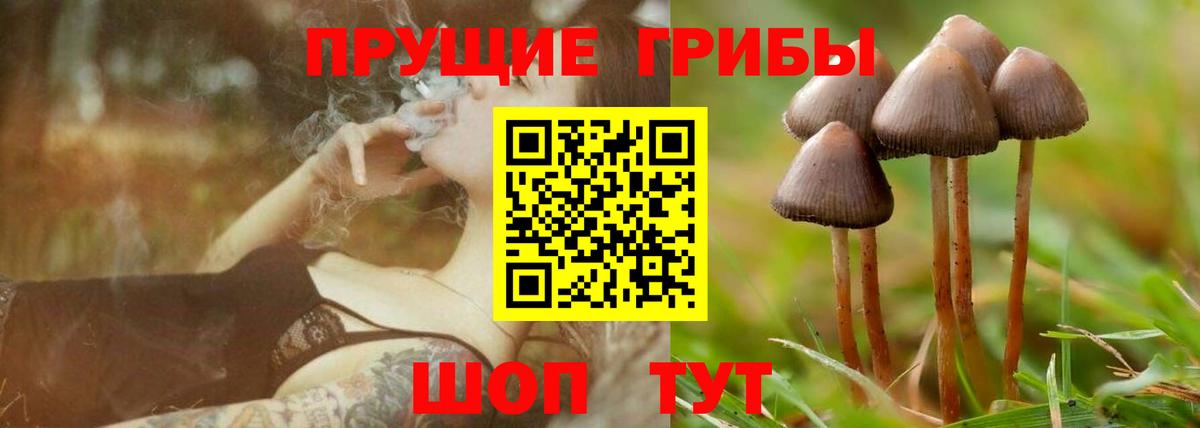 Галлюциногенные грибы Magic Shrooms  Псилоцибиновые грибы мухоморы  даркнет сайт  Краснокаменск  Вход с VPN 